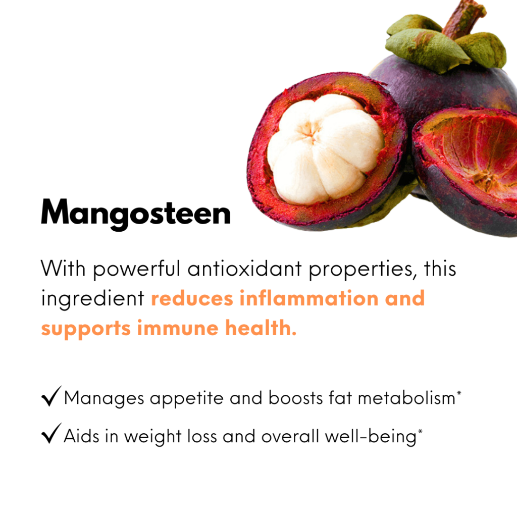 Mangosteen1