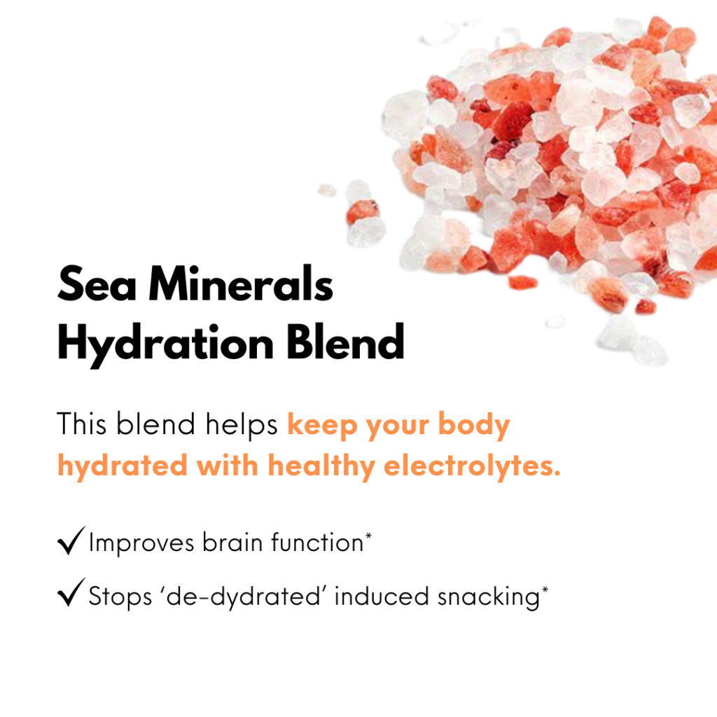 Sea Minerals1